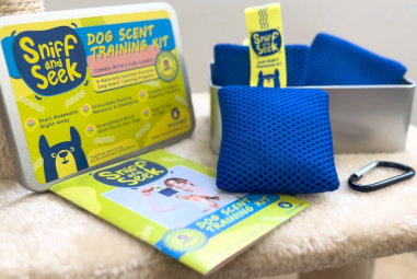 7 Best Scent Training Toys for Smart Dogs in 2025