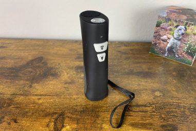 7 Best Bark Control Devices for Apartments in 2025