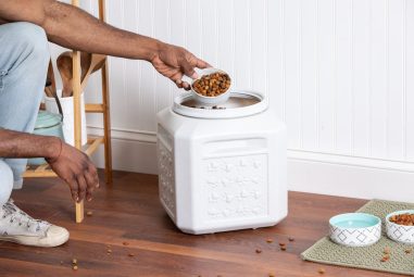 8 Best Airtight Pet Food Storage Containers in 2025