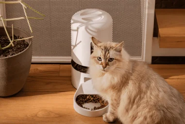 8 Best Automatic Pet Feeders With Cameras in 2025