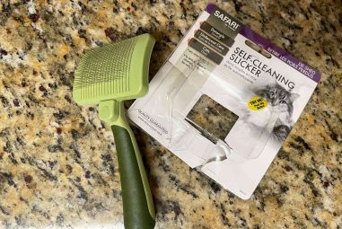 8 Best Cat Brushes for Long Hair Shedding in 2025