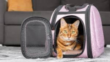 8 Best Cat Travel Carriers With Wheels in 2025