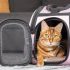 7 Best Pet Backpacks for Hiking Adventures in 2025