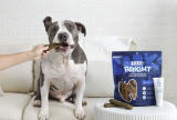 8 Best Dental Chew Kits for Small Breeds in 2025
