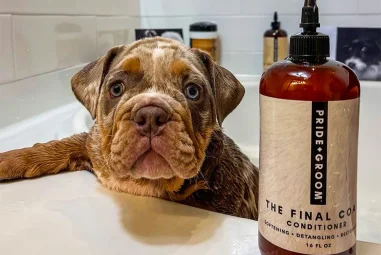 8 Best Dog Conditioners for Dry Skin in 2025