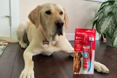 8 Best Dog Toothpaste for Bad Breath in 2025