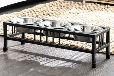8 Best Elevated Feeding Stations for Large Breeds in 2025