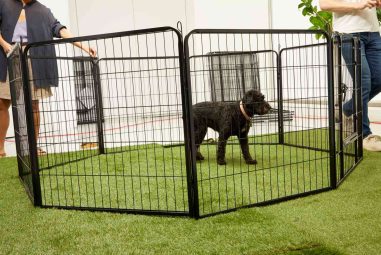 8 Best Outdoor Playpens for Puppies in 2025