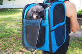 7 Best Pet Backpacks for Hiking Adventures in 2025