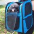 8 Best Cat Travel Carriers With Wheels in 2025