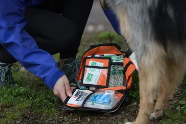 8 Best Pet First Aid Kits for Emergencies in 2025
