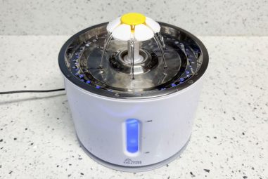 8 Best Pet Water Fountains for Multiple Cats in 2025