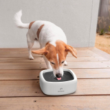8 Best Spill Proof Dog Water Bowls in 2025