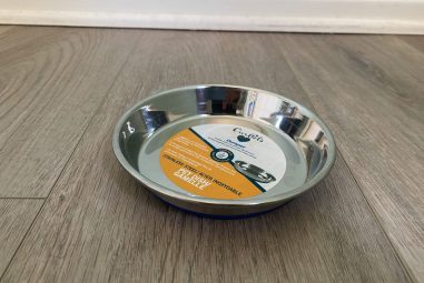 8 Best Stainless Steel Cat Bowls for Messy Eaters in 2025