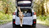 8 Best Suv Pet Cargo Liners for Large Dogs in 2025