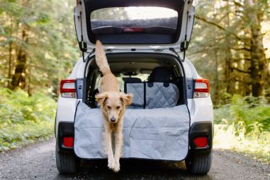 8 Best Suv Pet Cargo Liners for Large Dogs in 2025