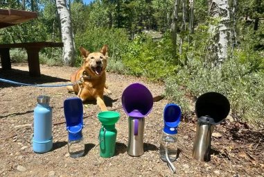8 Best Travel Water Bottles for Hiking With Dogs in 2025