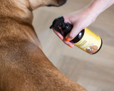 8 Best Waterless Shampoos for Quick Cleaning in 2025