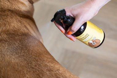 8 Best Waterless Shampoos for Quick Cleaning in 2025