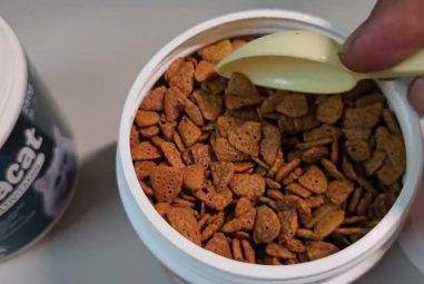 8 Best Cat Multivitamins for Indoor Cats in 2025