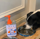 8 Best Fish Oil for Shiny Dog Coats in 2025