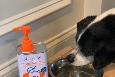8 Best Fish Oil for Shiny Dog Coats in 2025