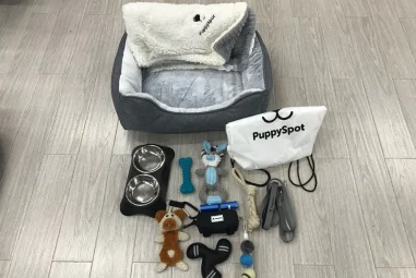 8 Best Dog Crate Training Kits for Puppies in 2025